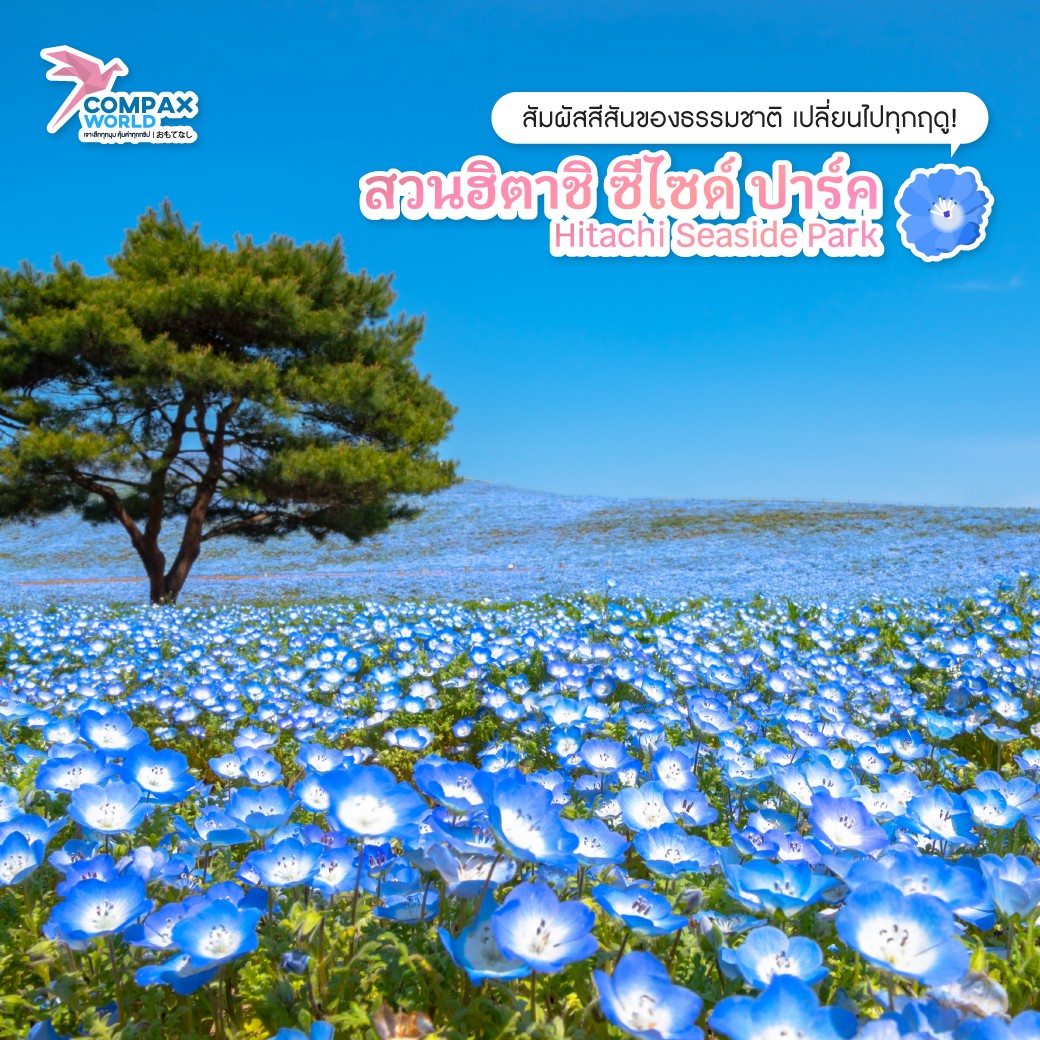 ทัวร์ญี่ปุ่น เที่ยวญี่ปุ่น โปรแกรมทัวร์ญี่ปุ่น